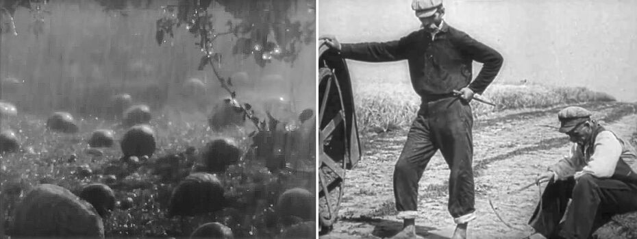 Ил. 9. Кадры из фильма А. Довженко «Земля». 1930