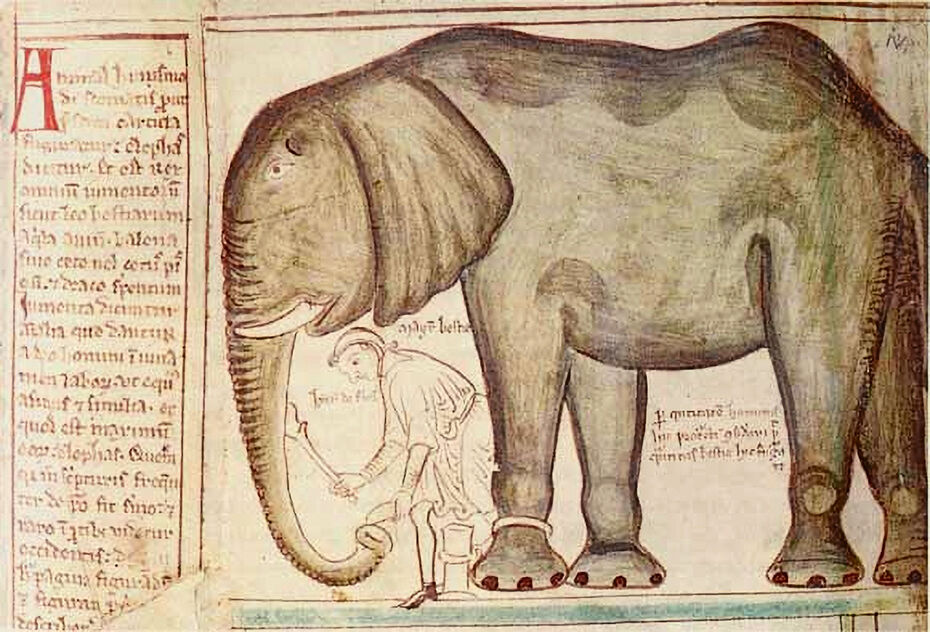Ил. 10. Мастерская Матвея Парижского. Слон. 1240–1255. Chronica majora II. Пергамен. 35,8 × 24,4 см. Библиотека Корпус Кристи Колледж, Кембридж